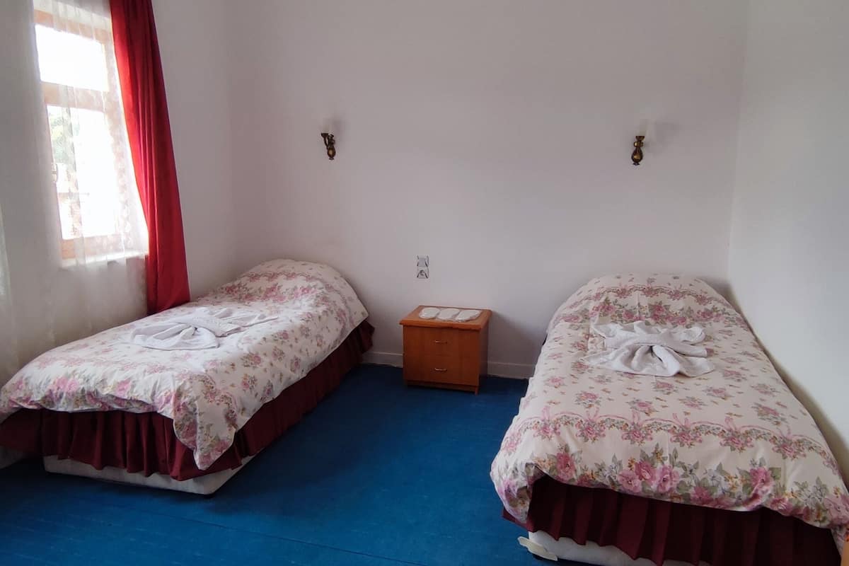 PENSION-Twin Room (WC&Bathroom Outside) | Een kluis op de kamer, een bureau, een strijkplank/strijkijzer