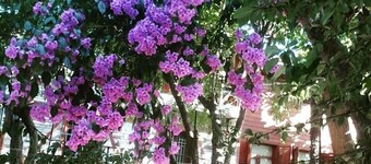 Orhan Kutbay'in Evi Turyolu Cafe Pansiyon