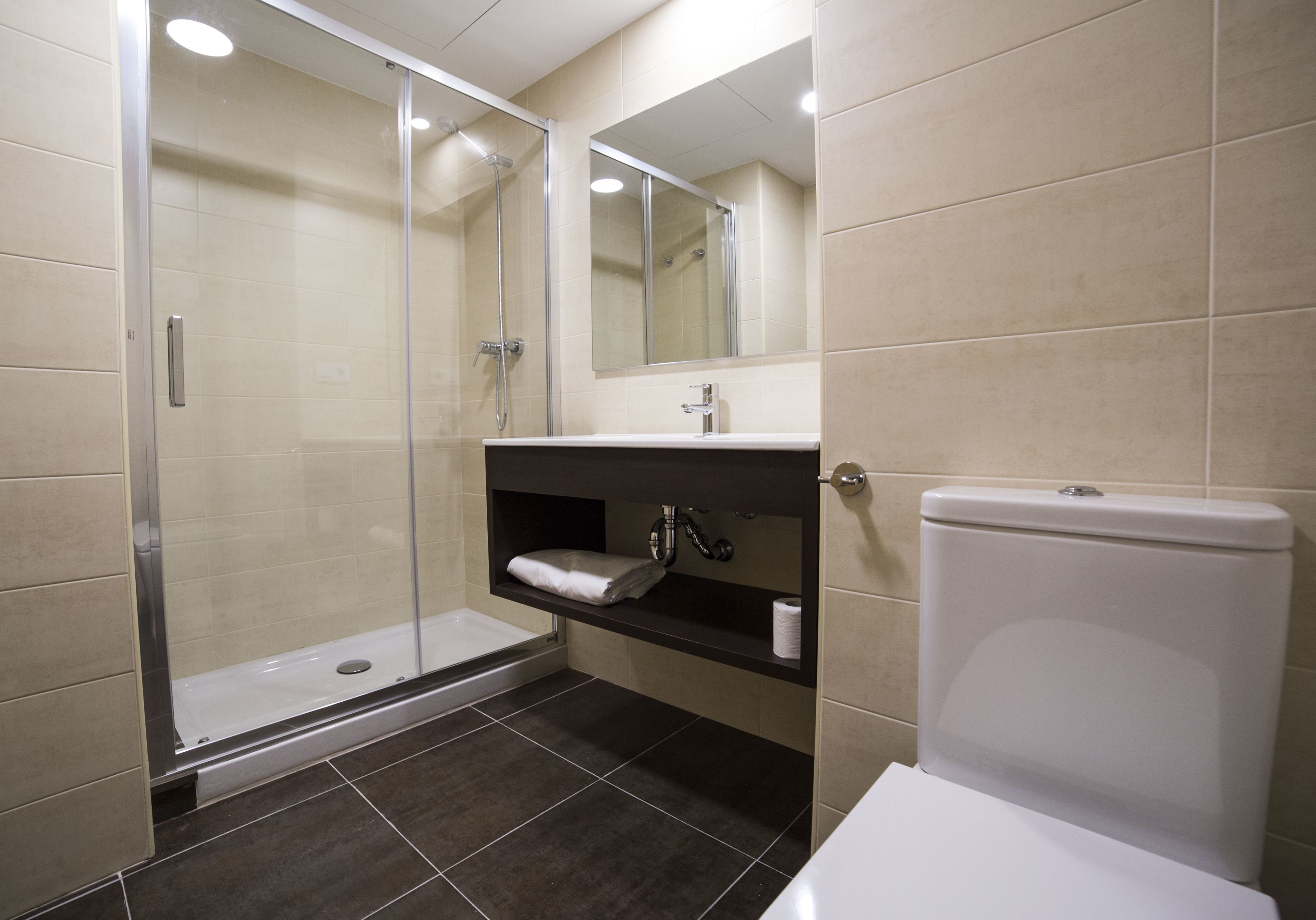 A modern bathroom with a glass-enclosed shower, a white toilet, and a dark-colored sink with a mirror above it.