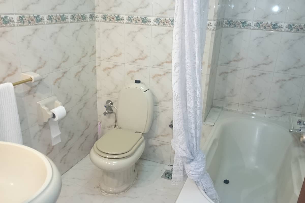 double room, river view | bathroom | shower