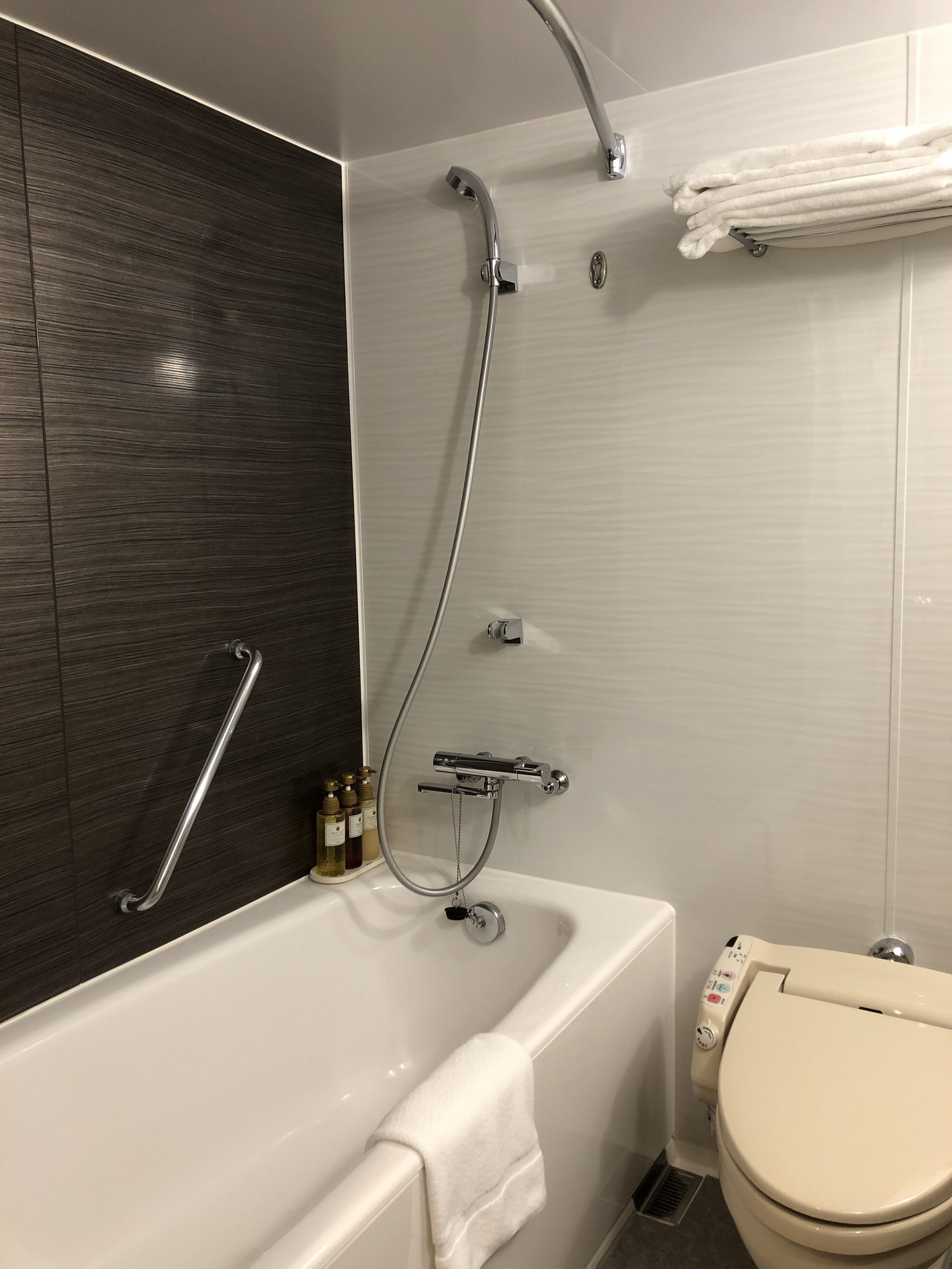 combined shower/bathtub, free toiletries, hair dryer, slippers