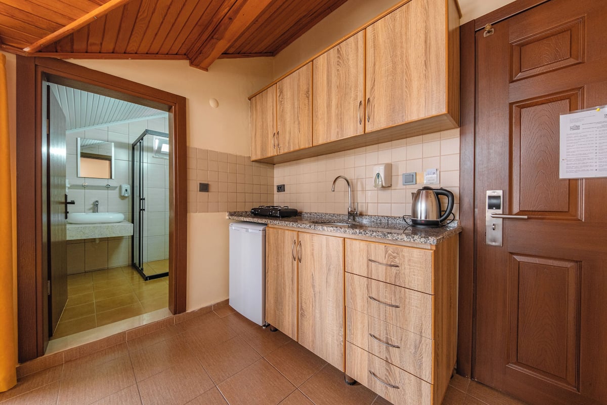 classic studio, terrace | private kitchen | fridge, cleaning supplies