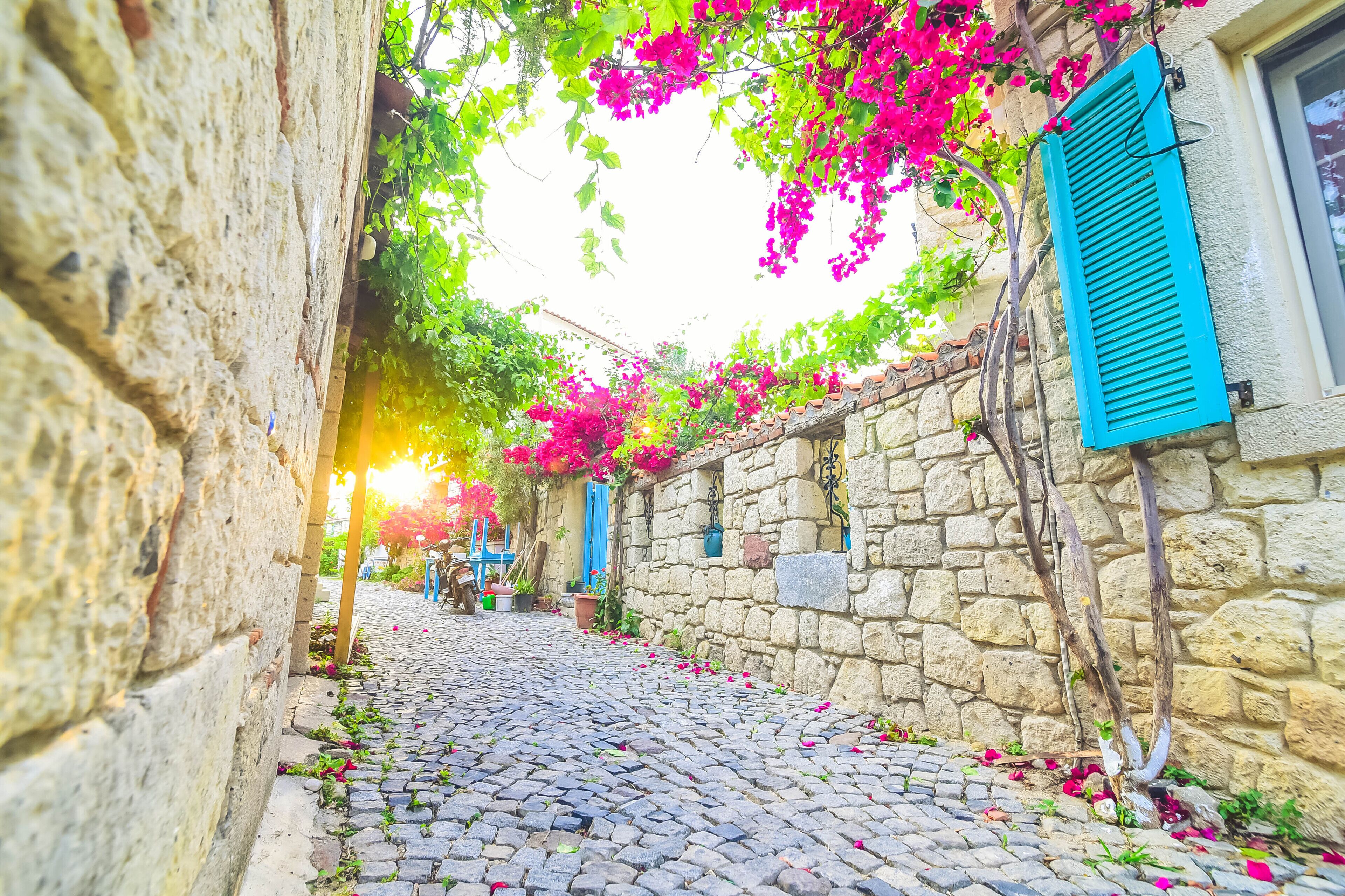 Vista frontal de la propiedad