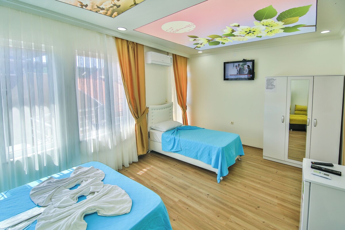 Hotelkamer met twee bedden, een kledingkast, een televisie en een plafond met bloemendecor.