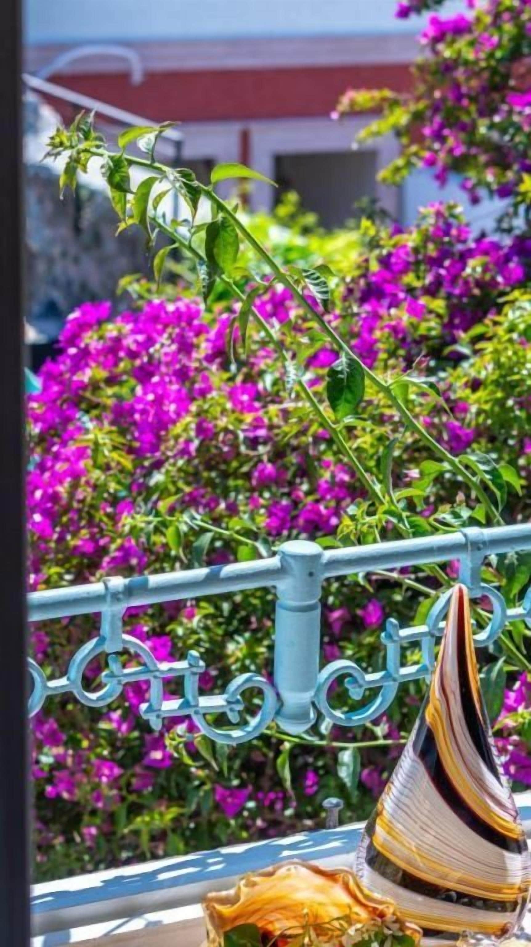 A balcony with a railing, a decorative shell, and vibrant purple flowers in the background.
