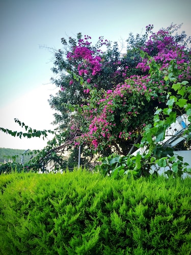 Yalcin Hotel