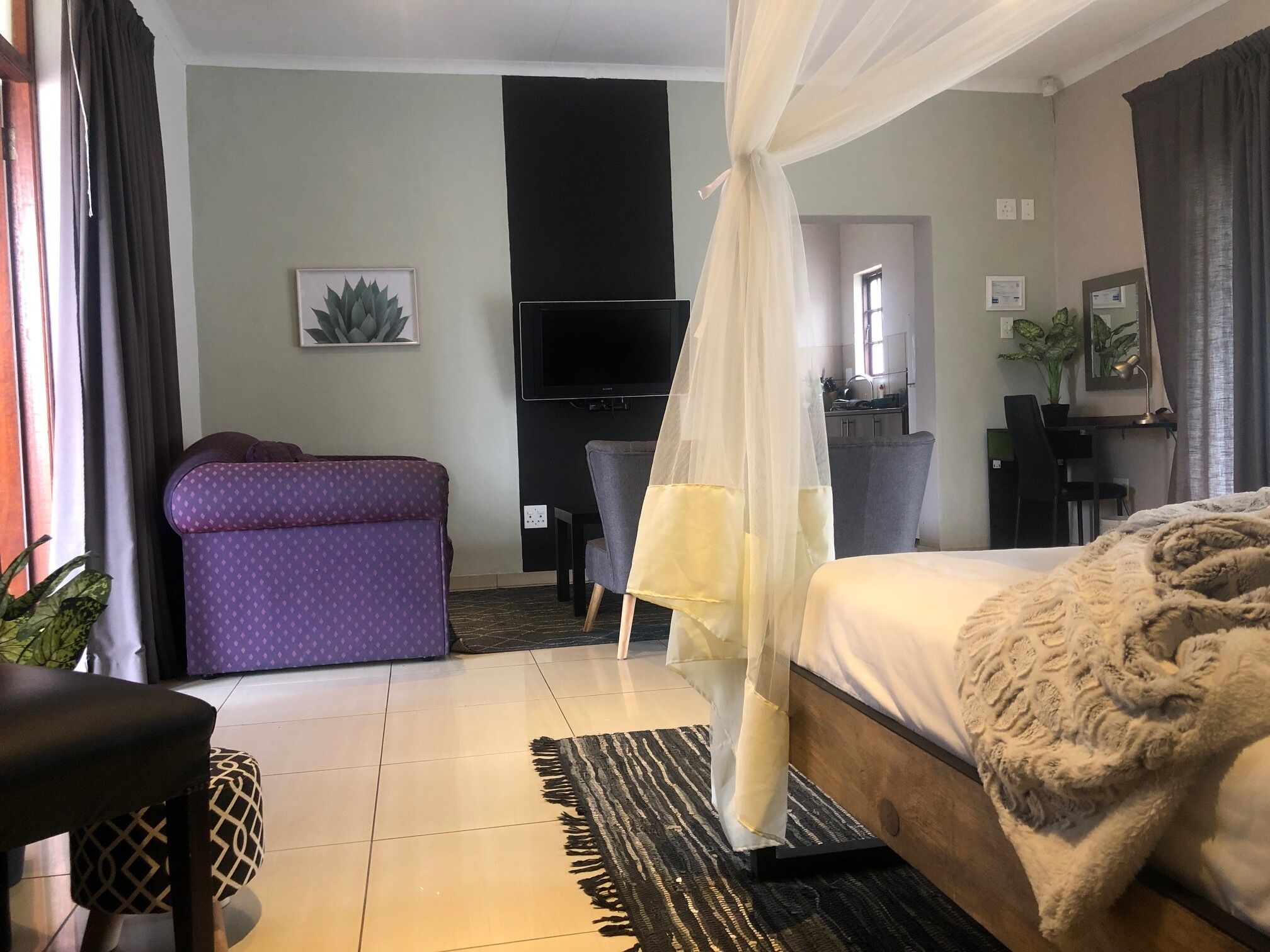 A hotel room with a bed, a purple sofa, a desk, a television, and a potted plant.