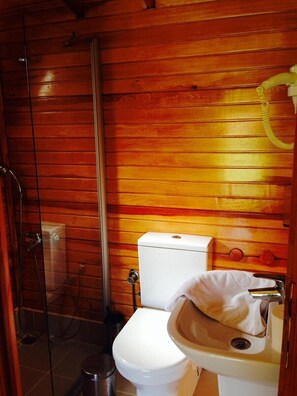 Dusche, kostenlose Toilettenartikel, Haartrockner, Handtücher