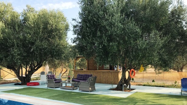 Una piscina con cubierta de madera, mobiliario exterior y árboles.