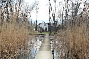 A pathway leading to a white house with a sloped roof, surrounded by tall reeds and trees.