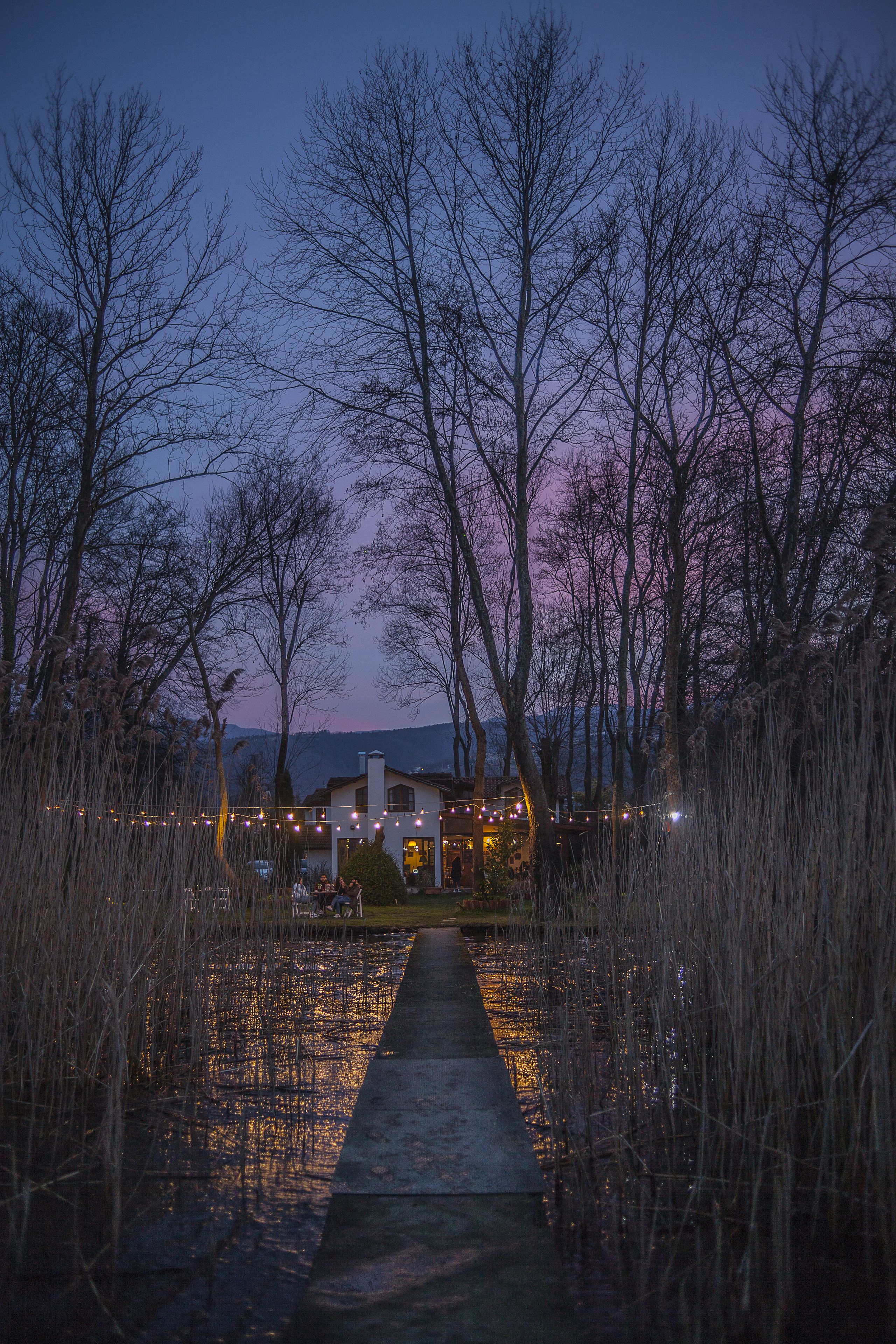 A pathway leading to a building surrounded by trees and a body of water reflecting lights.