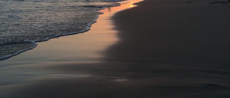 Una spiaggia nelle vicinanze, immersioni subacquee