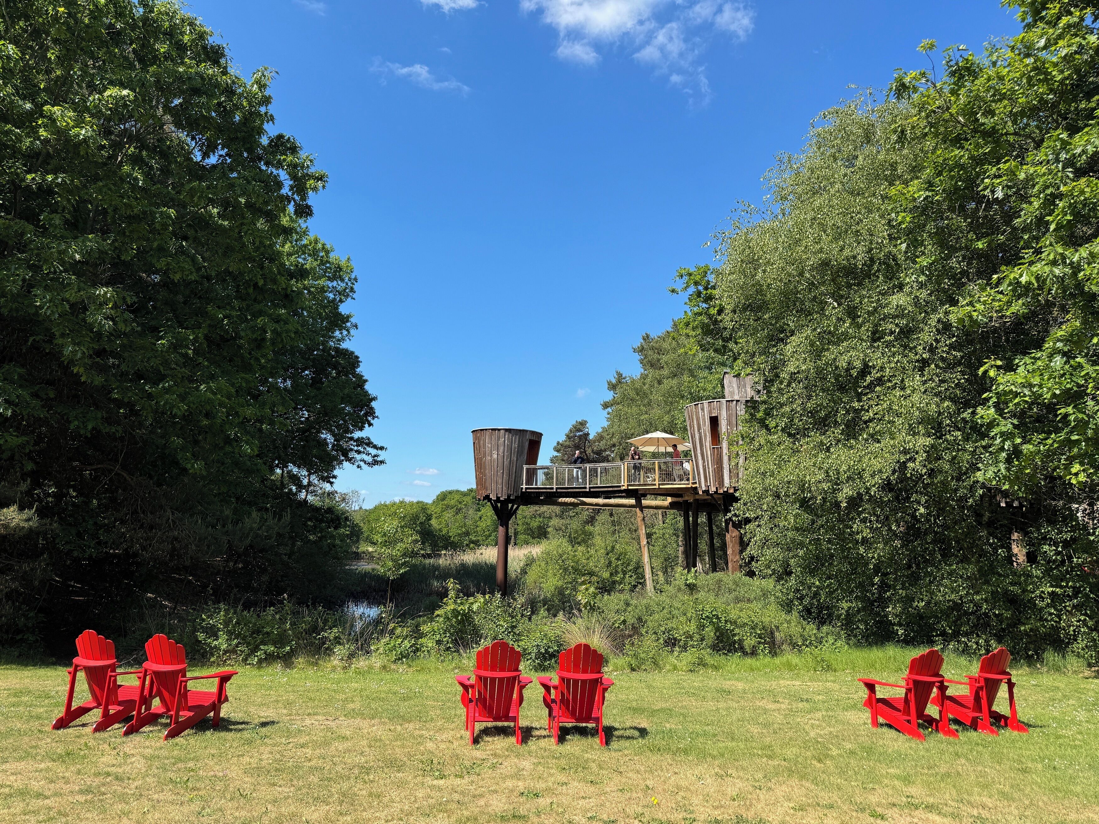 A wooden platform with a rustic cabin, surrounded by lush greenery and a clear blue sky.