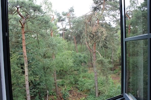 Comfort Double Room, Garden View | Pemandangan dari bilik