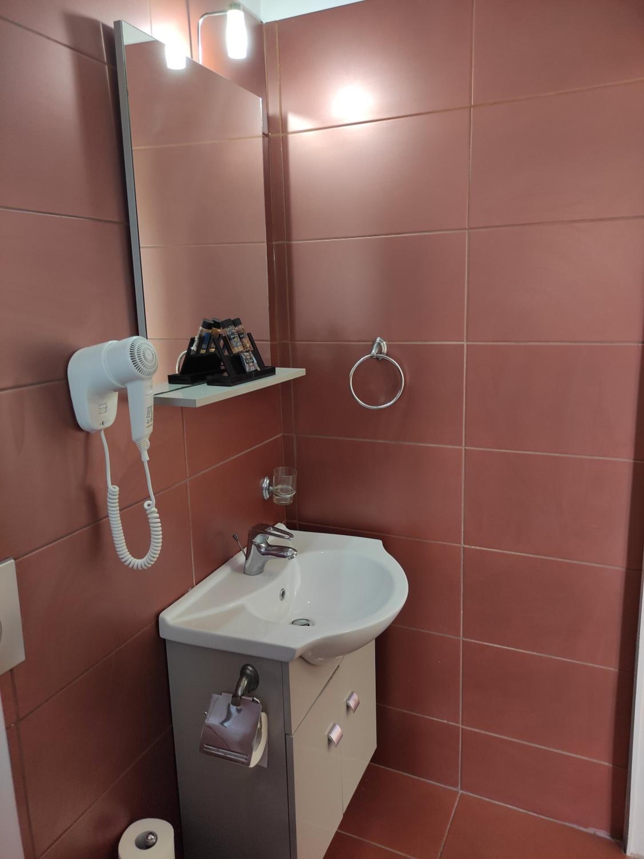 shower, free toiletries, hair dryer, slippers