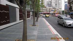Vista de una calle con aceras arboladas, un edificio de fachada moderna y varios vehículos en la vía.