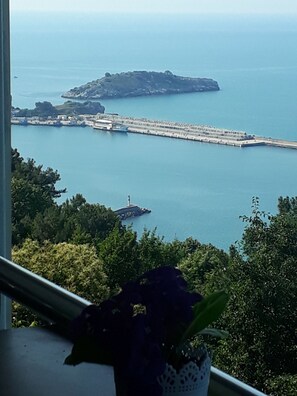 A coastal view with a lighthouse, a pier, and a small island. - Gunter Seher Otel (Amasra)
