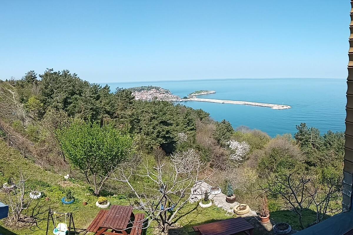 Paisaje costero con vista al mar, un muelle y una colina con árboles y un pequeño edificio.