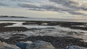 해변