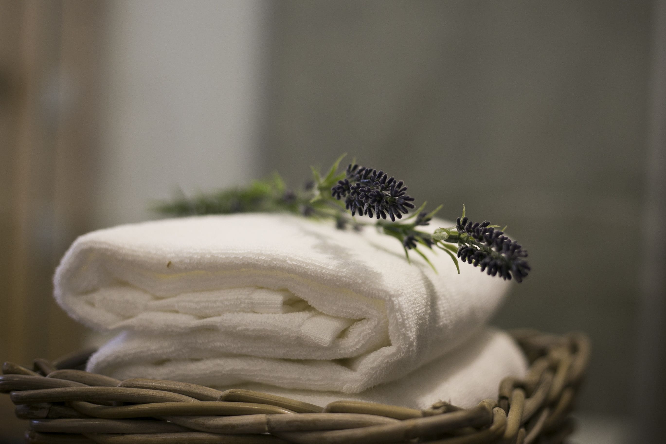 Foto - 262 Boutique Hotel