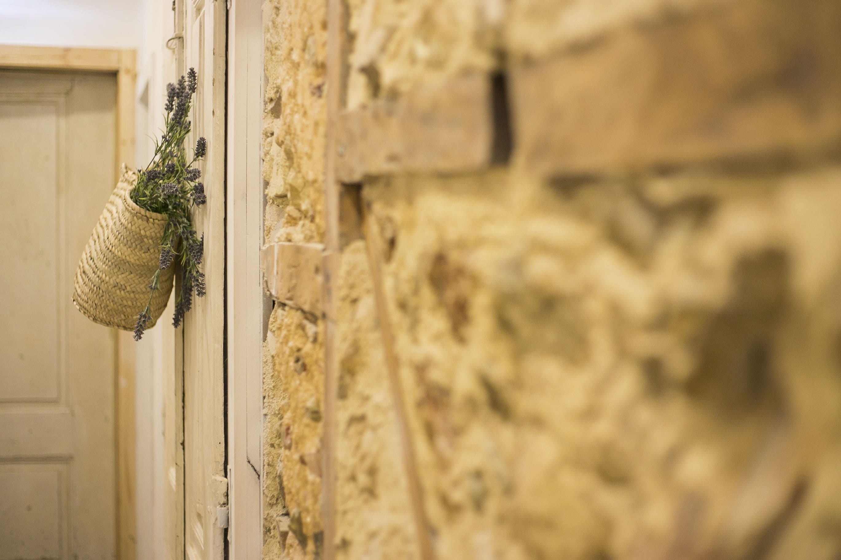 Photo - 262 Boutique Hotel