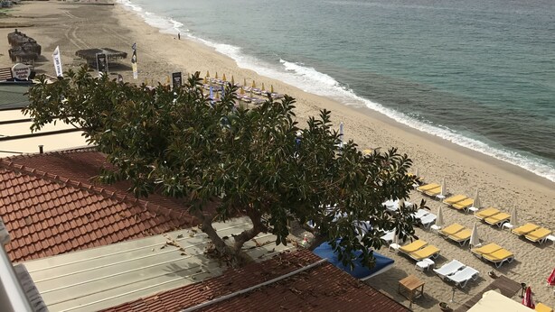 A beach with a row of sun loungers and umbrellas, a tree in the foreground, and a view of the ocean and a distant hill. - Muz Hotel - All Inclusive (Alanya)