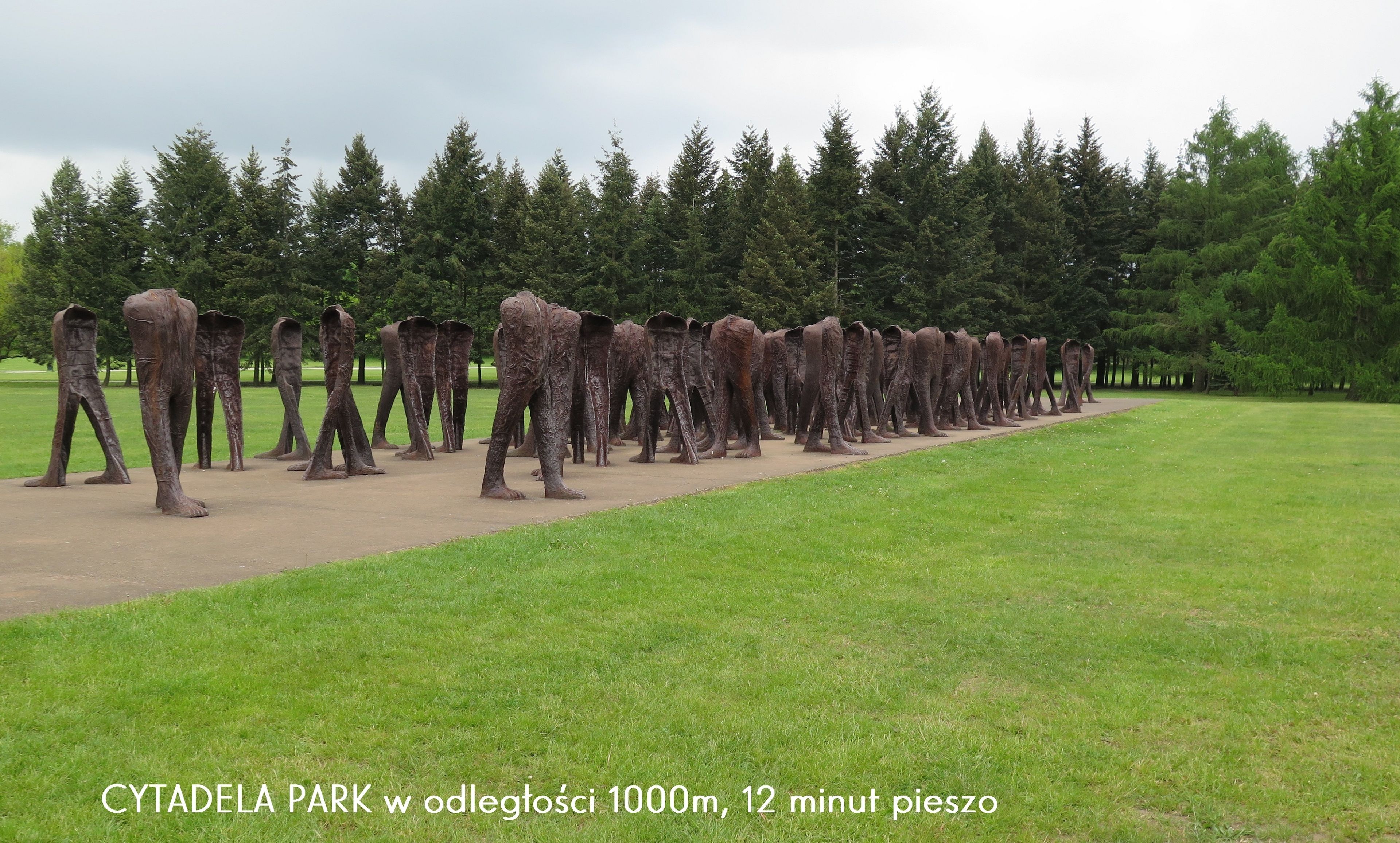 A park with a long row of elephant sculptures.