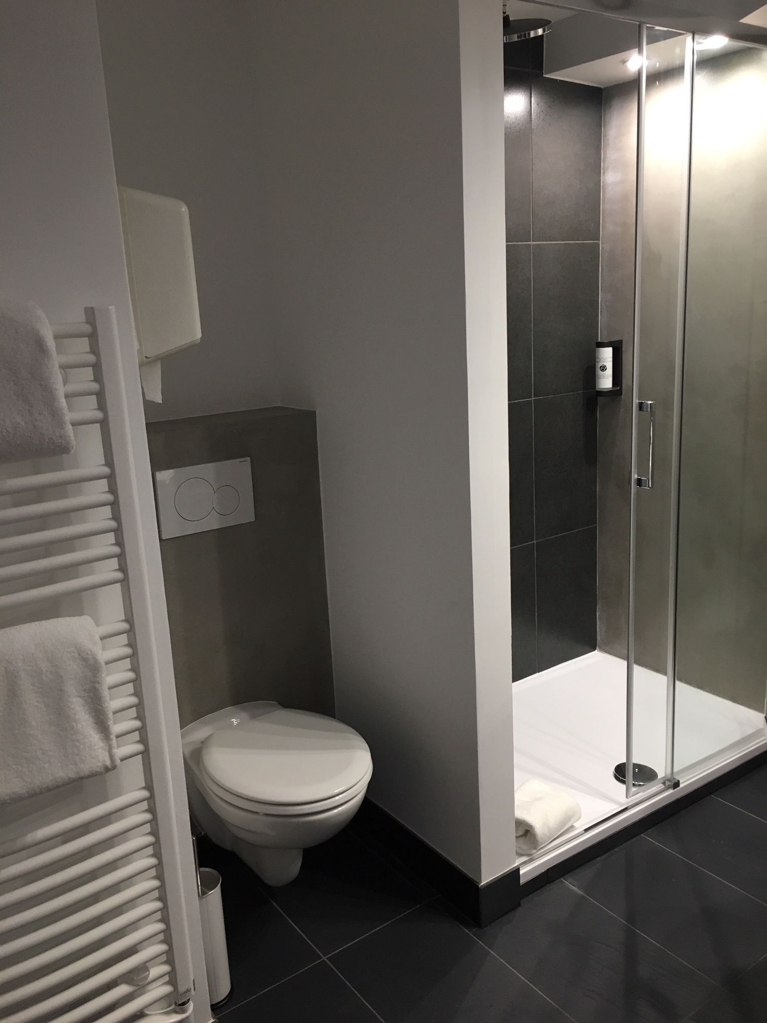 A modern bathroom with a toilet, a glass-enclosed shower, and a towel rack.
