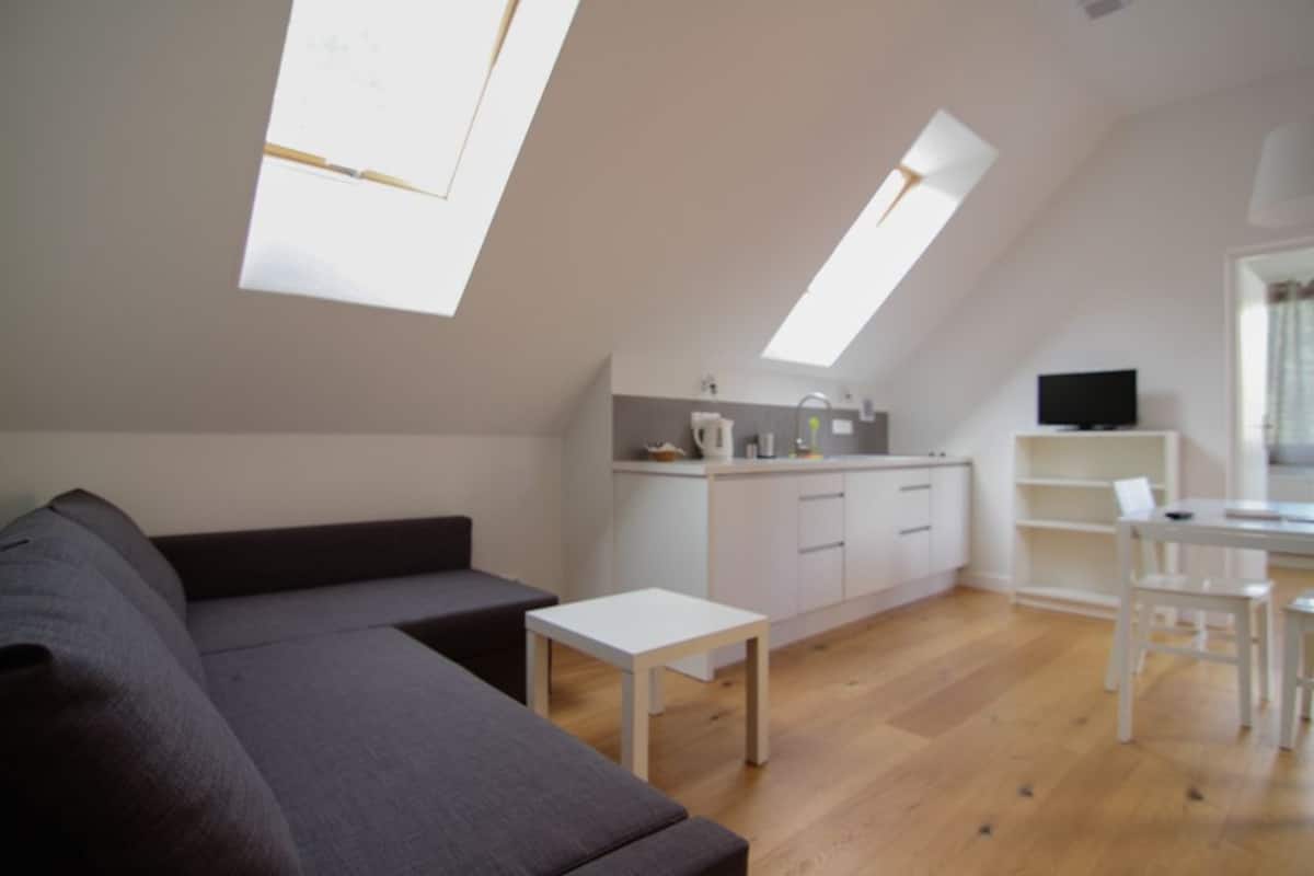Departamento, 1 habitación (Lava) | Área de sala de estar | Televisión de pantalla plana y juguetes