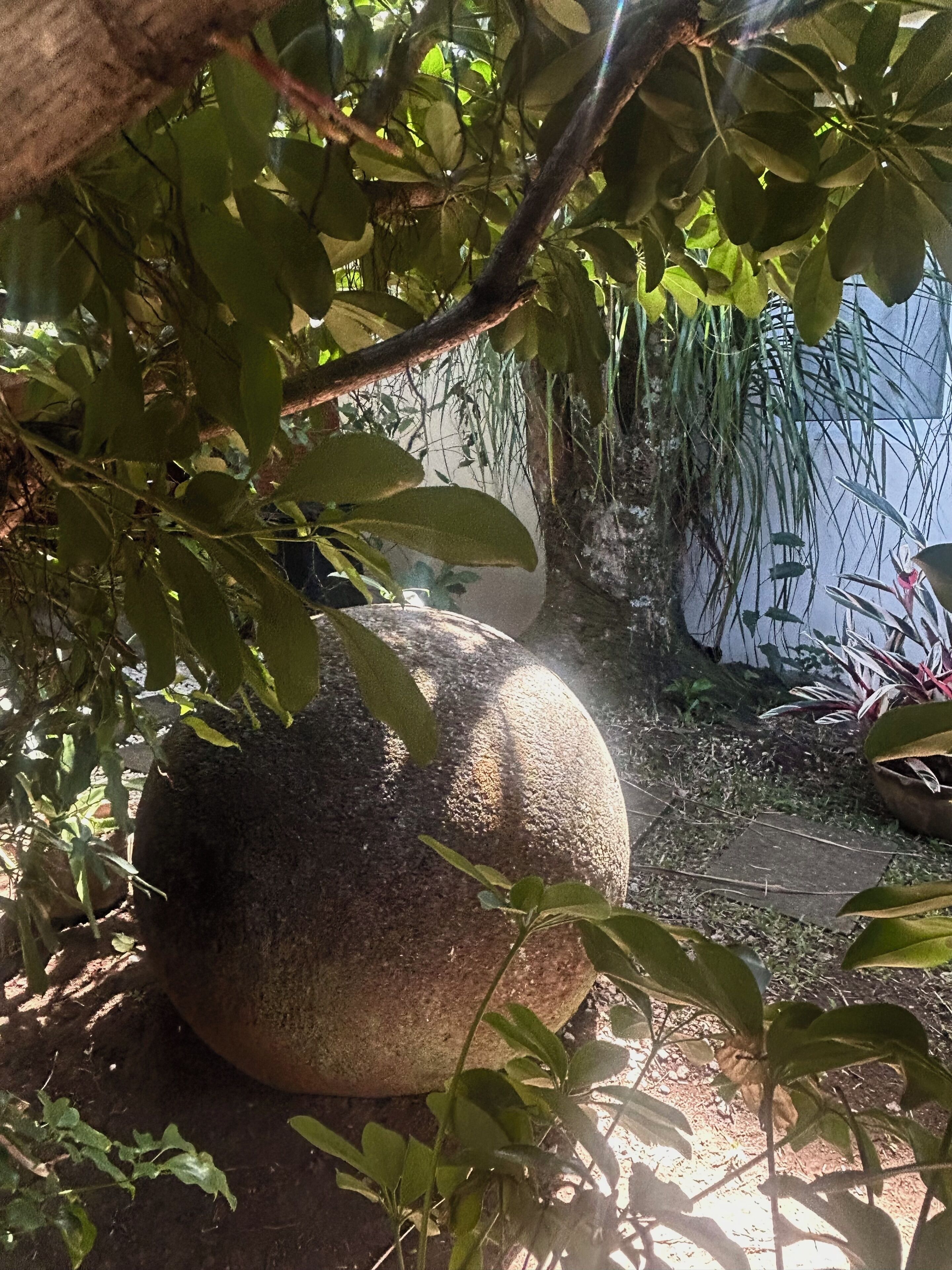 A large stone planter surrounded by greenery, with a pathway leading to a building in the background.