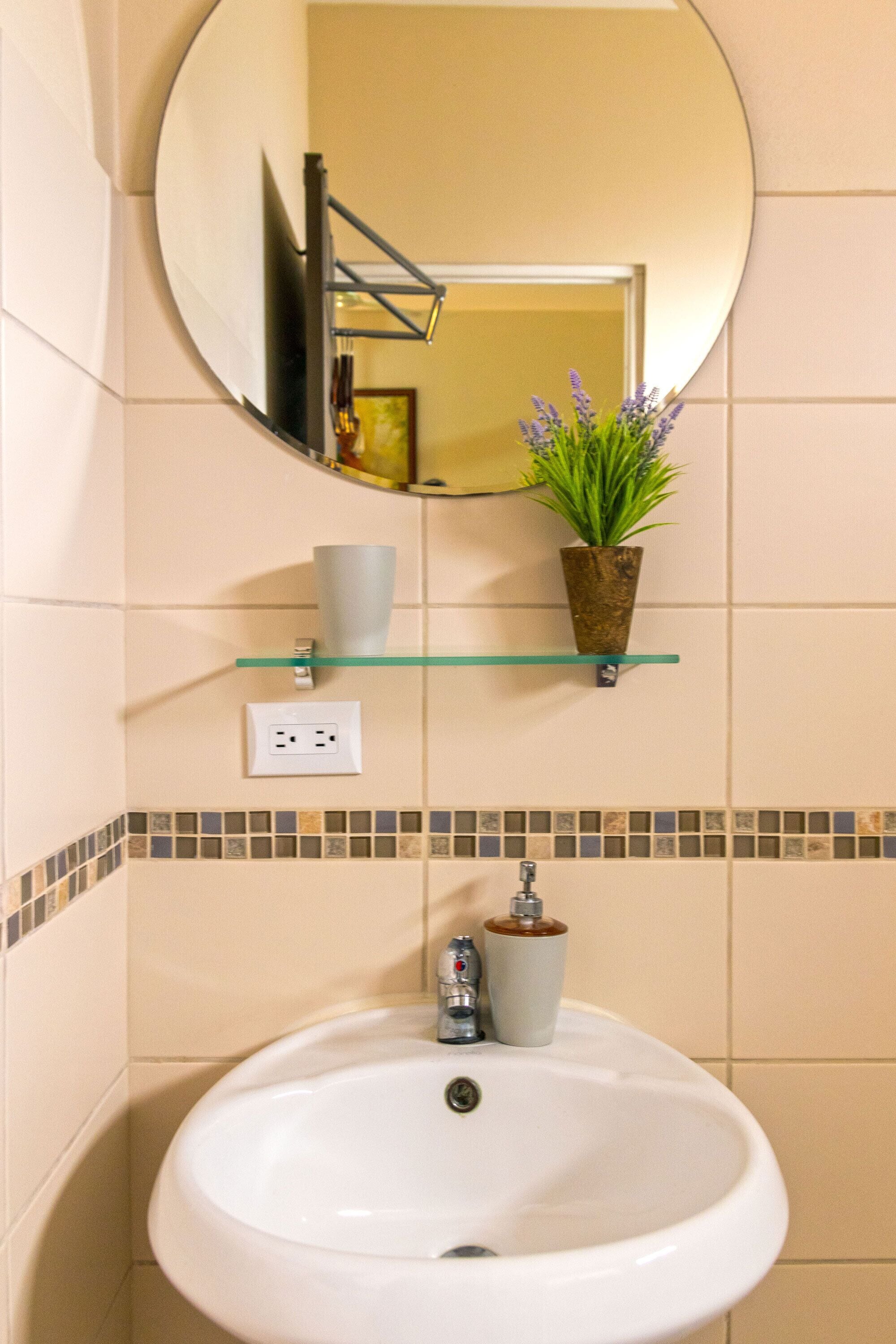 Une salle de bain avec un lavabo blanc, un miroir au-dessus et une plante en pot posée sur une étagère.