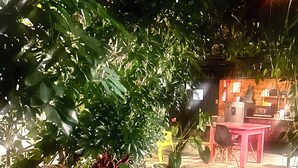 A garden area with a stone pathway, a table, and chairs. - Terida Airport B&B (Desamparados)