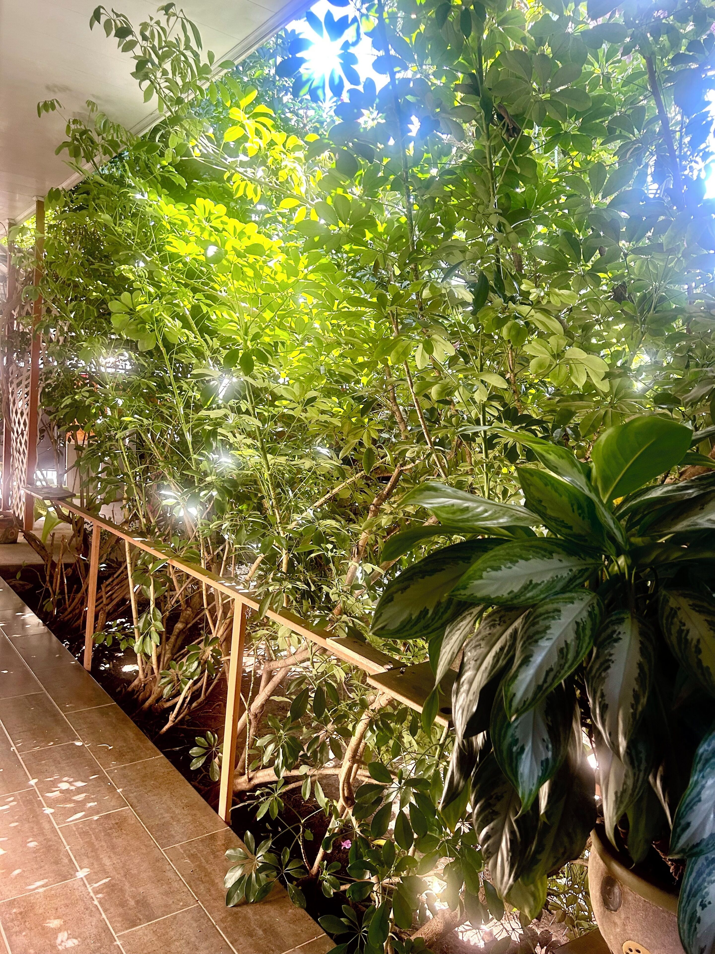 Queen Room with Garden View (Room 3) | Veranda