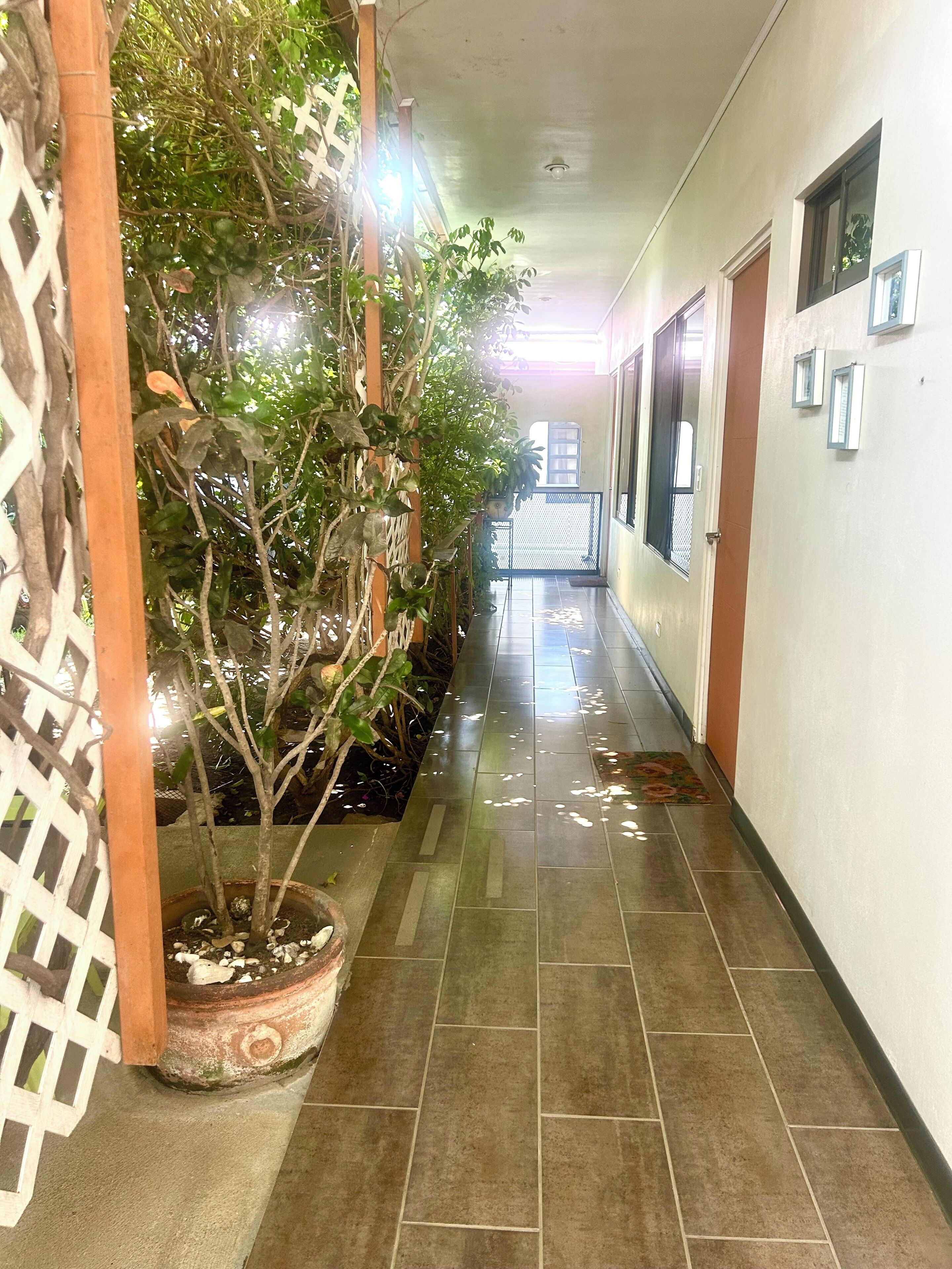 Un pasillo con una planta en maceta, suelo de baldosas y una puerta al final.
