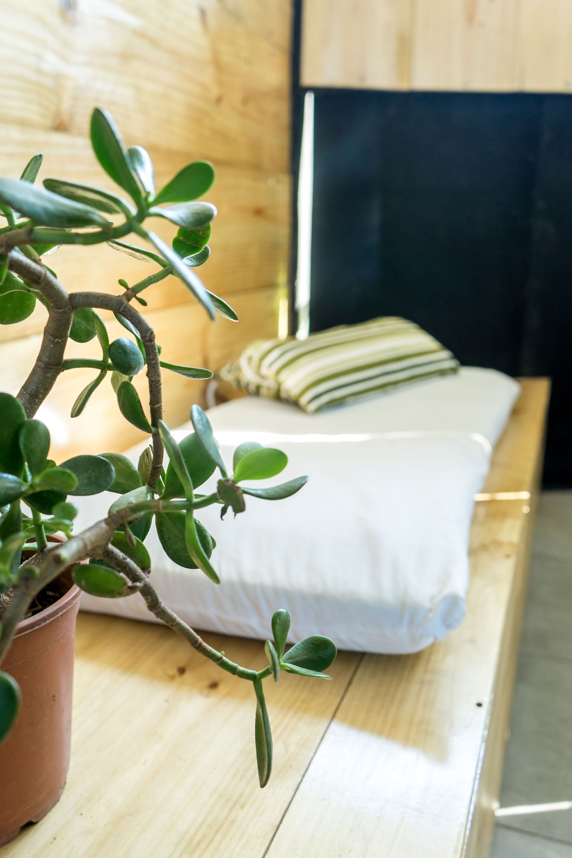 Foto - Terida Airport B&B