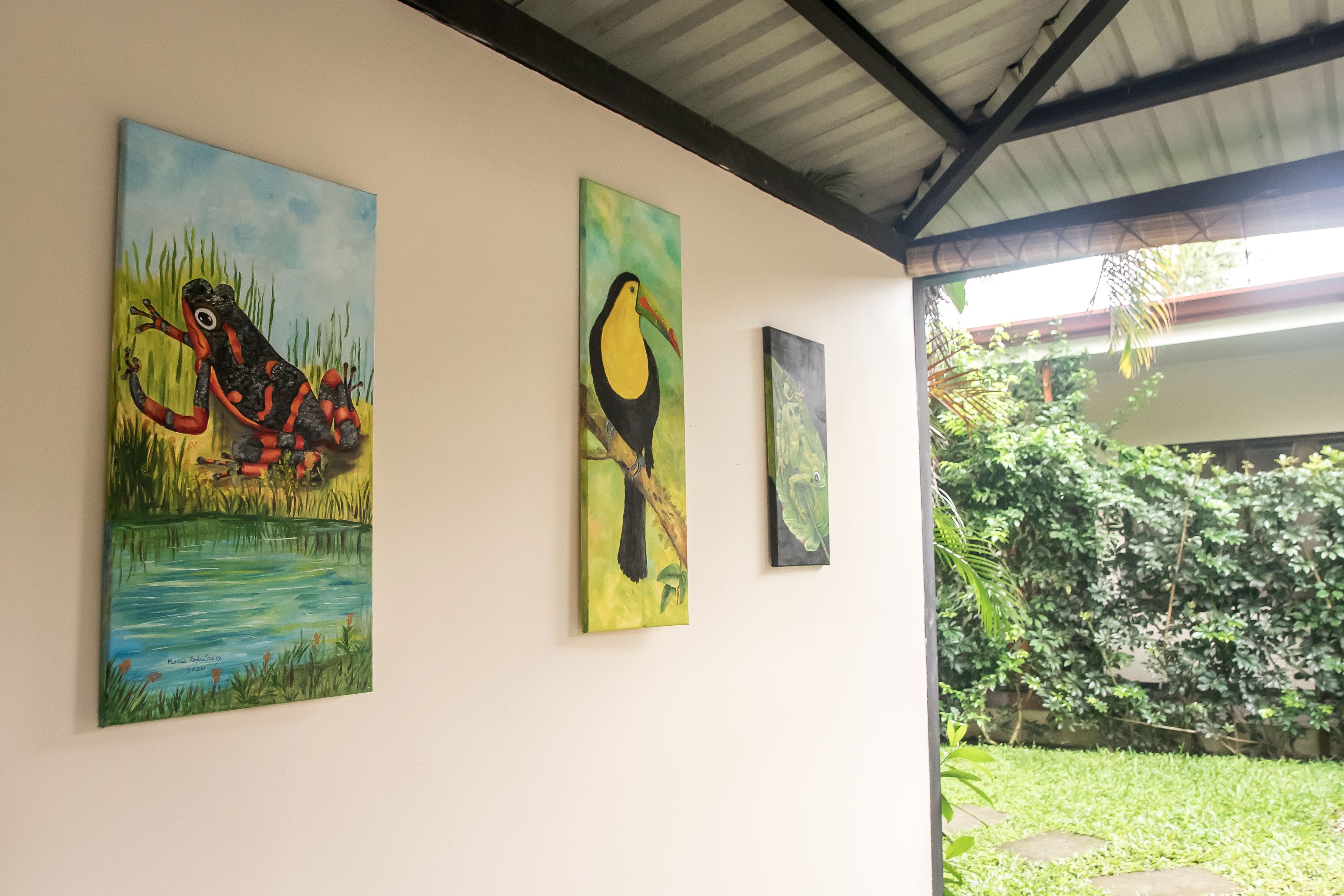 Three paintings on a wall, depicting a frog, a toucan, and a bird.