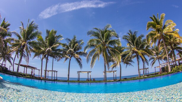 A clear blue pool surrounded by palm trees and a view of the ocean.