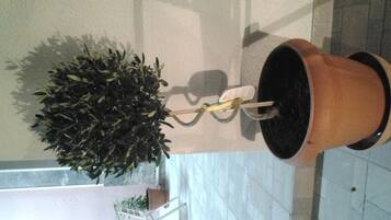 A potted plant hanging from a ceiling in a room with tiled flooring and a metal chair.