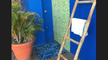 A blue door, a bamboo ladder, and a potted plant.