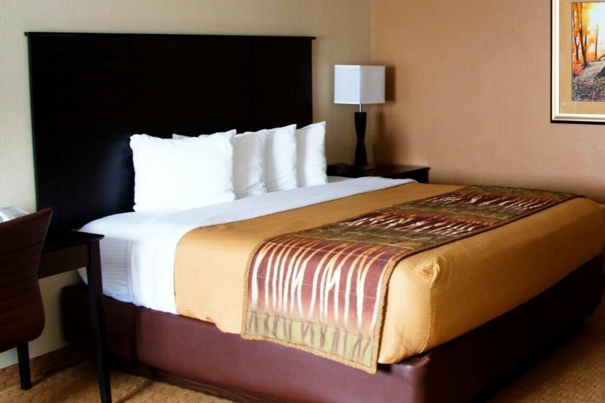 A hotel room with a large bed, a desk with a chair, a nightstand with a lamp, and a framed picture on the wall.