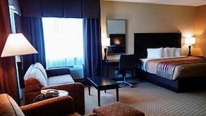 Una habitación de hotel con cama, escritorio, sillón y sofá.