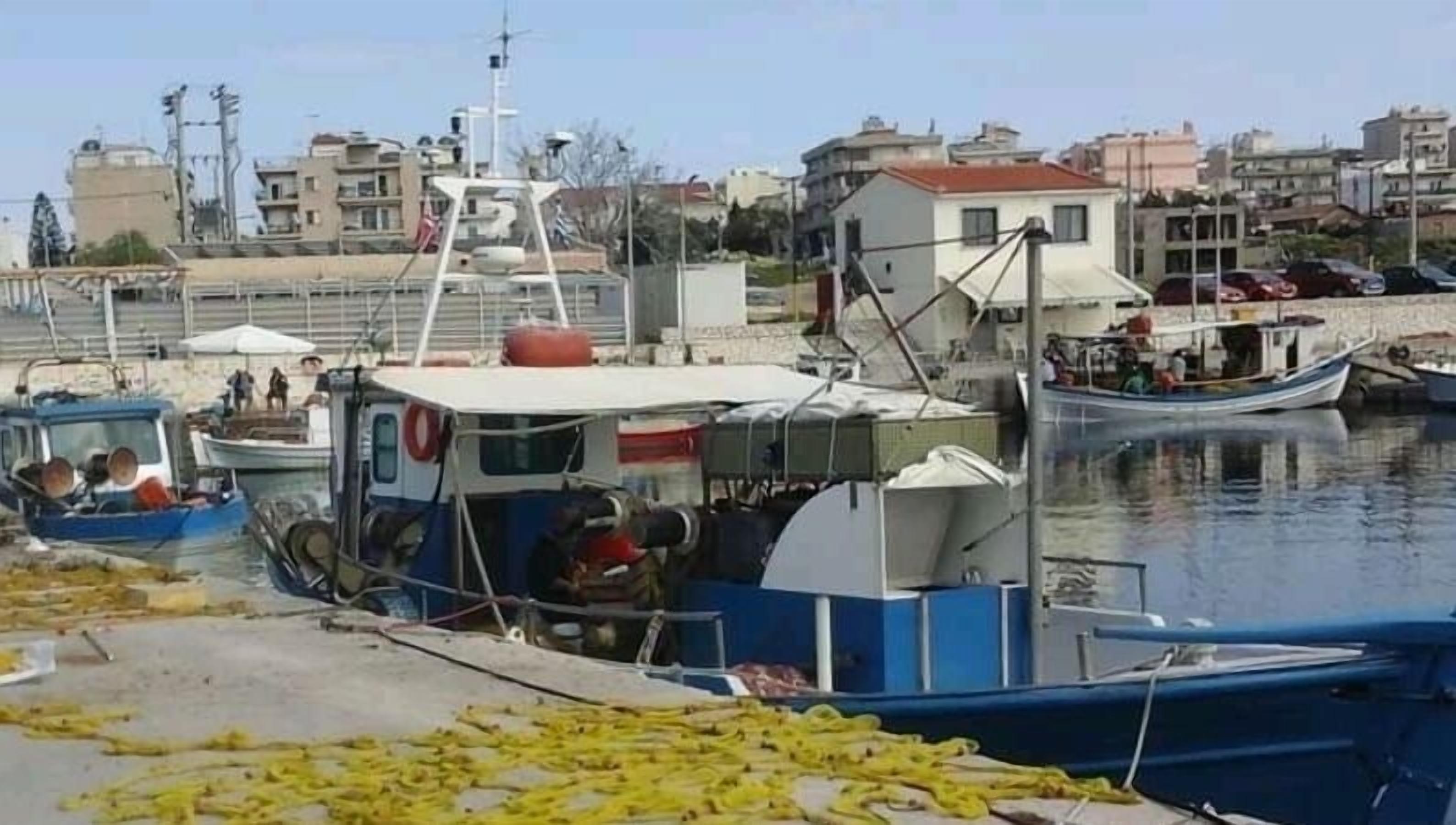 A marina with several boats docked, a small building with a red roof, and a cityscape in the background.