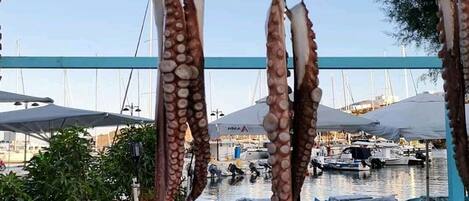A seafood market with octopus displayed on hooks, tables with blue chairs, and a marina in the background.