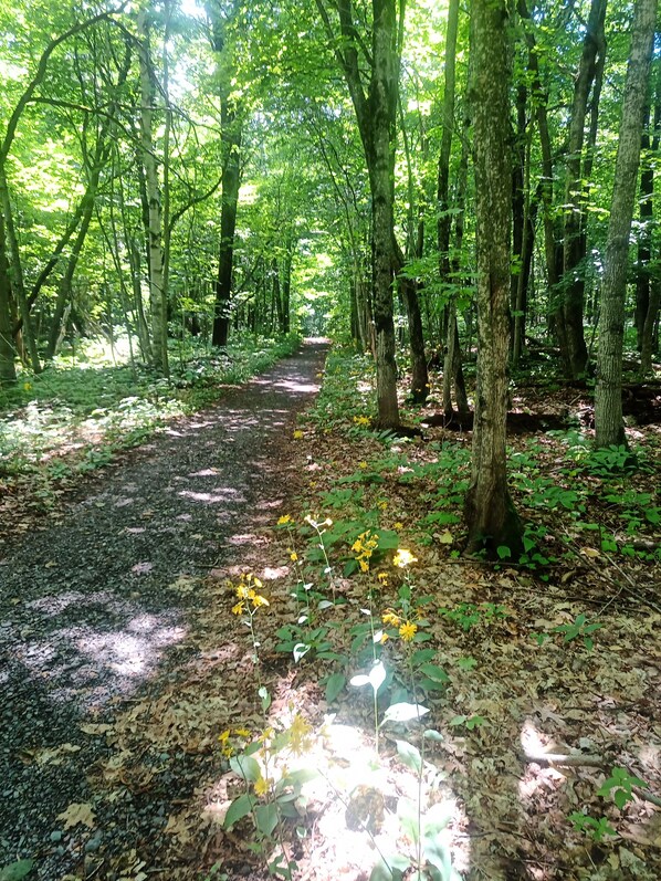 Hiking