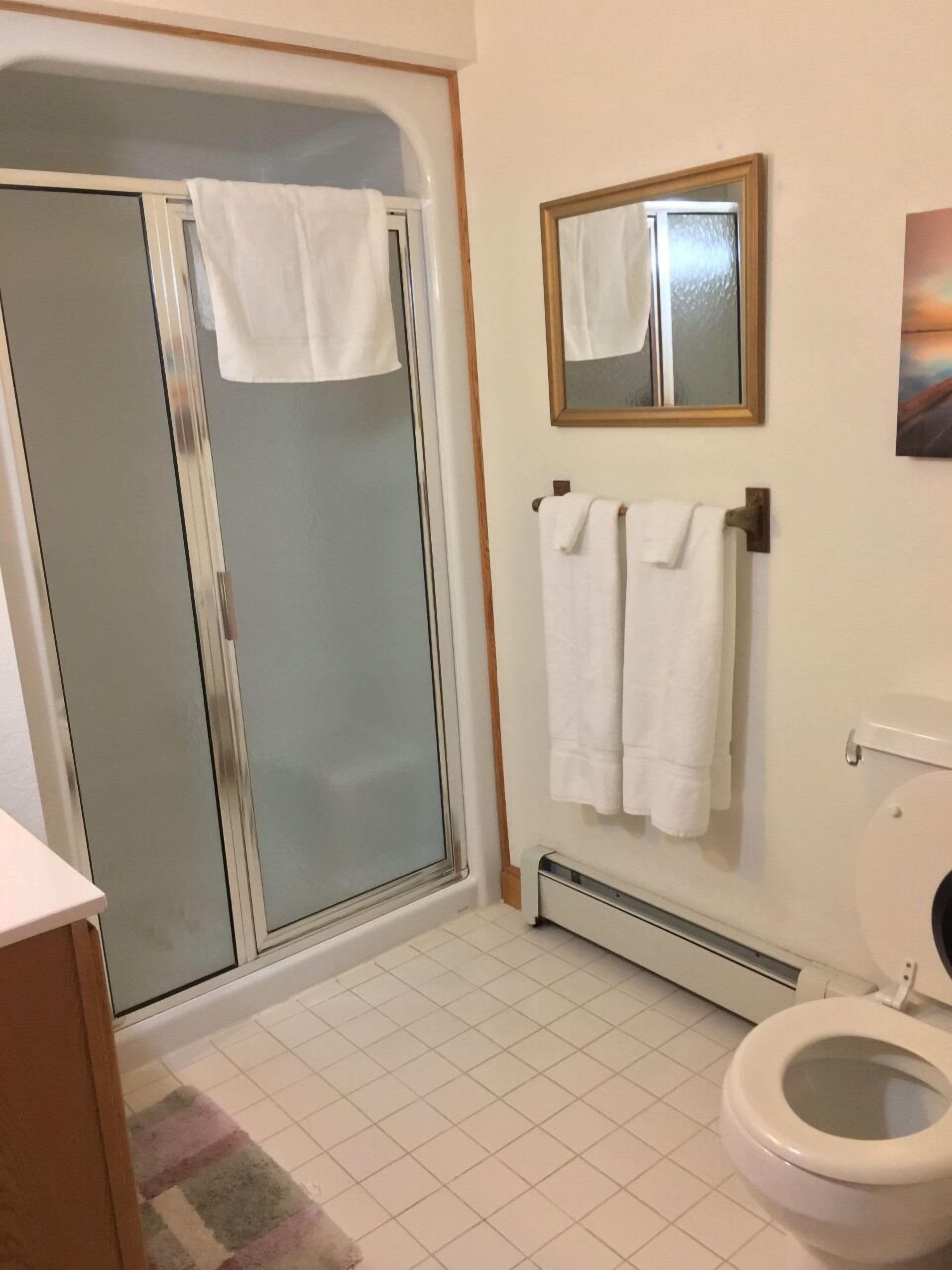 A bathroom with a shower, toilet, and a mirror.