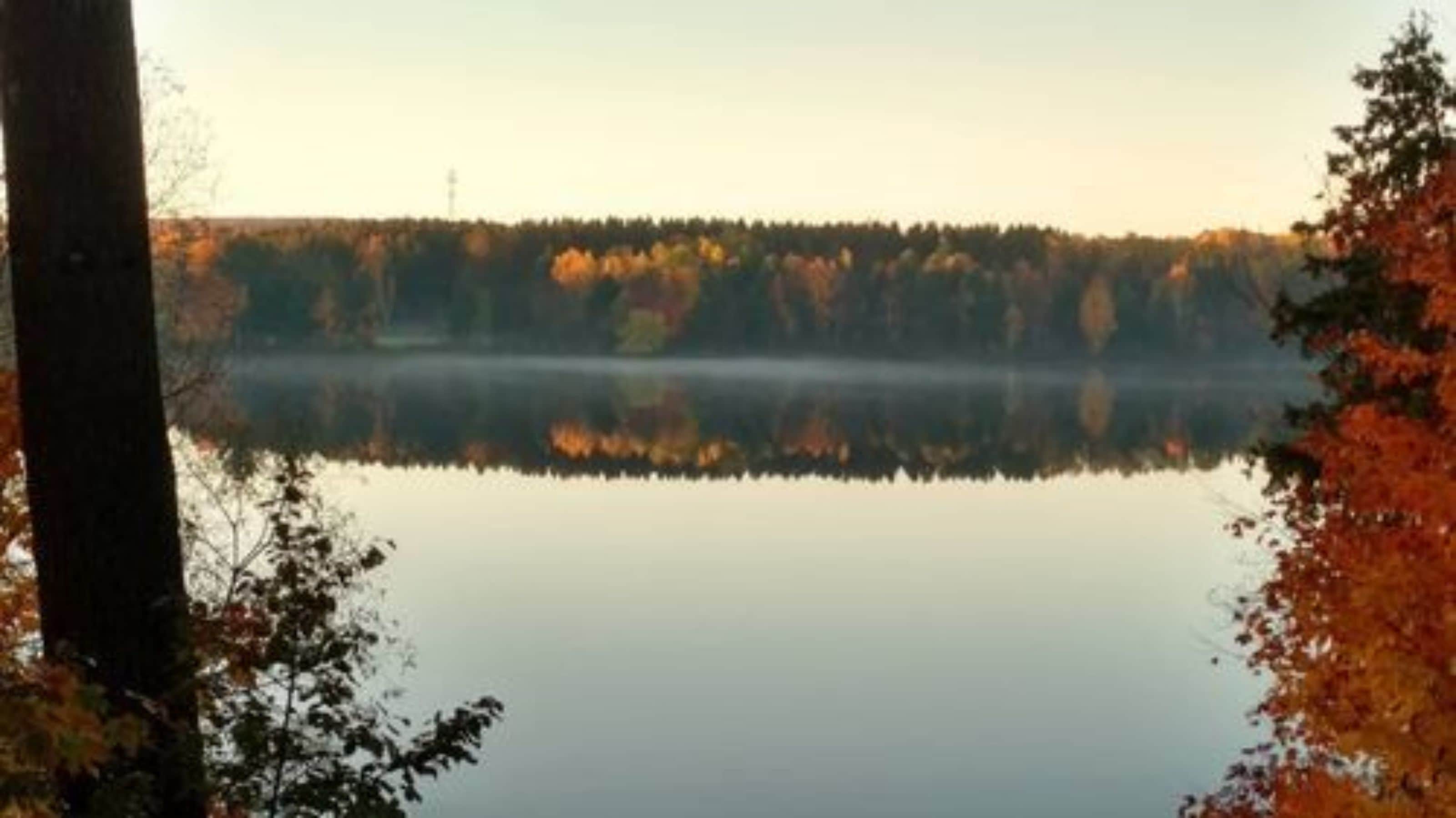 A calm lake with trees reflecting on the water, surrounded by forest.