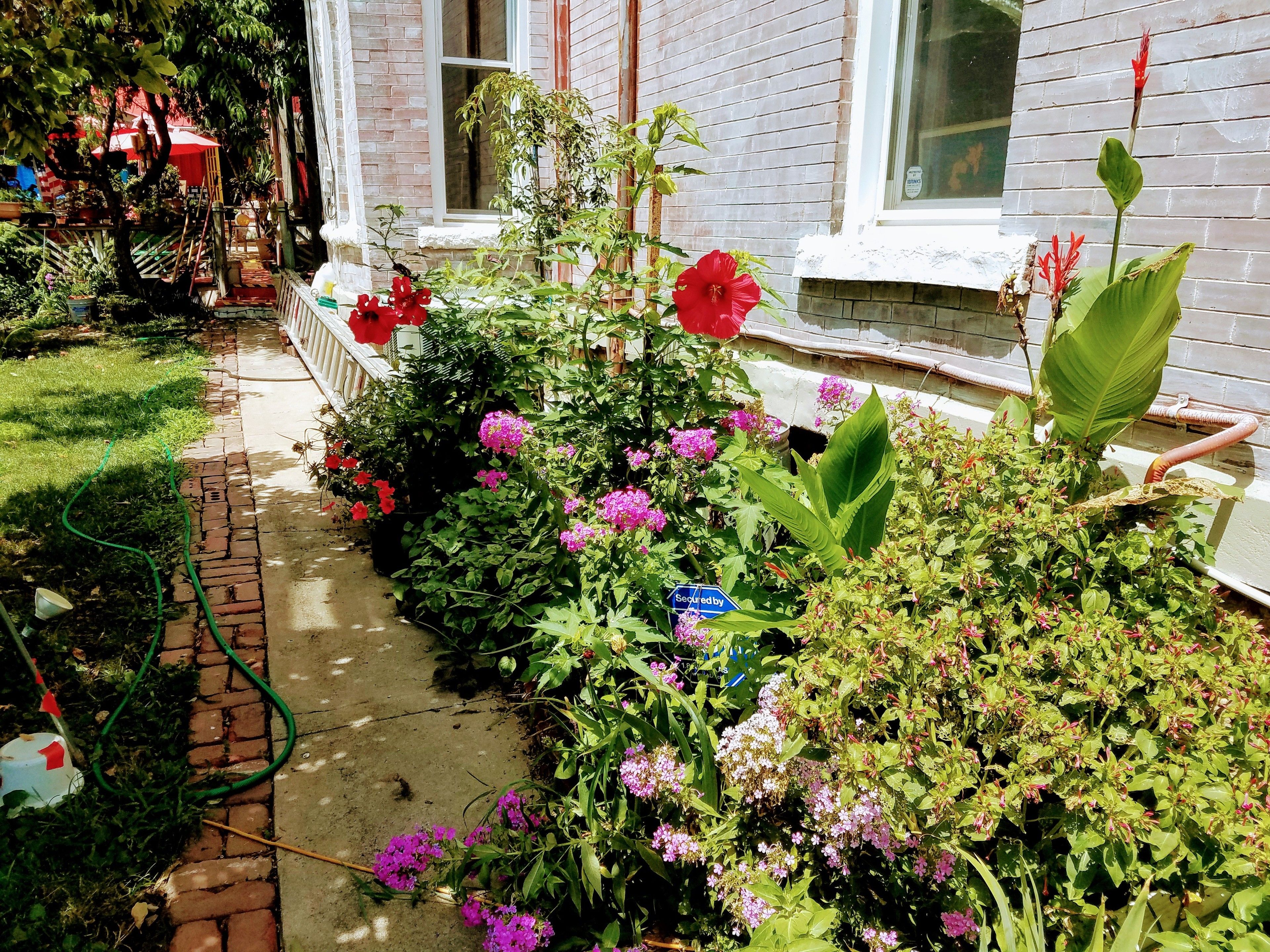 A garden with various plants and flowers, a brick pathway, and a window with a view of the garden.