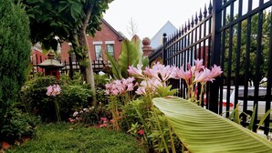 A garden with a variety of plants and flowers, a black metal fence, and a building with a red brick facade in the background. - 1812 Overture B&B (Kansas City)