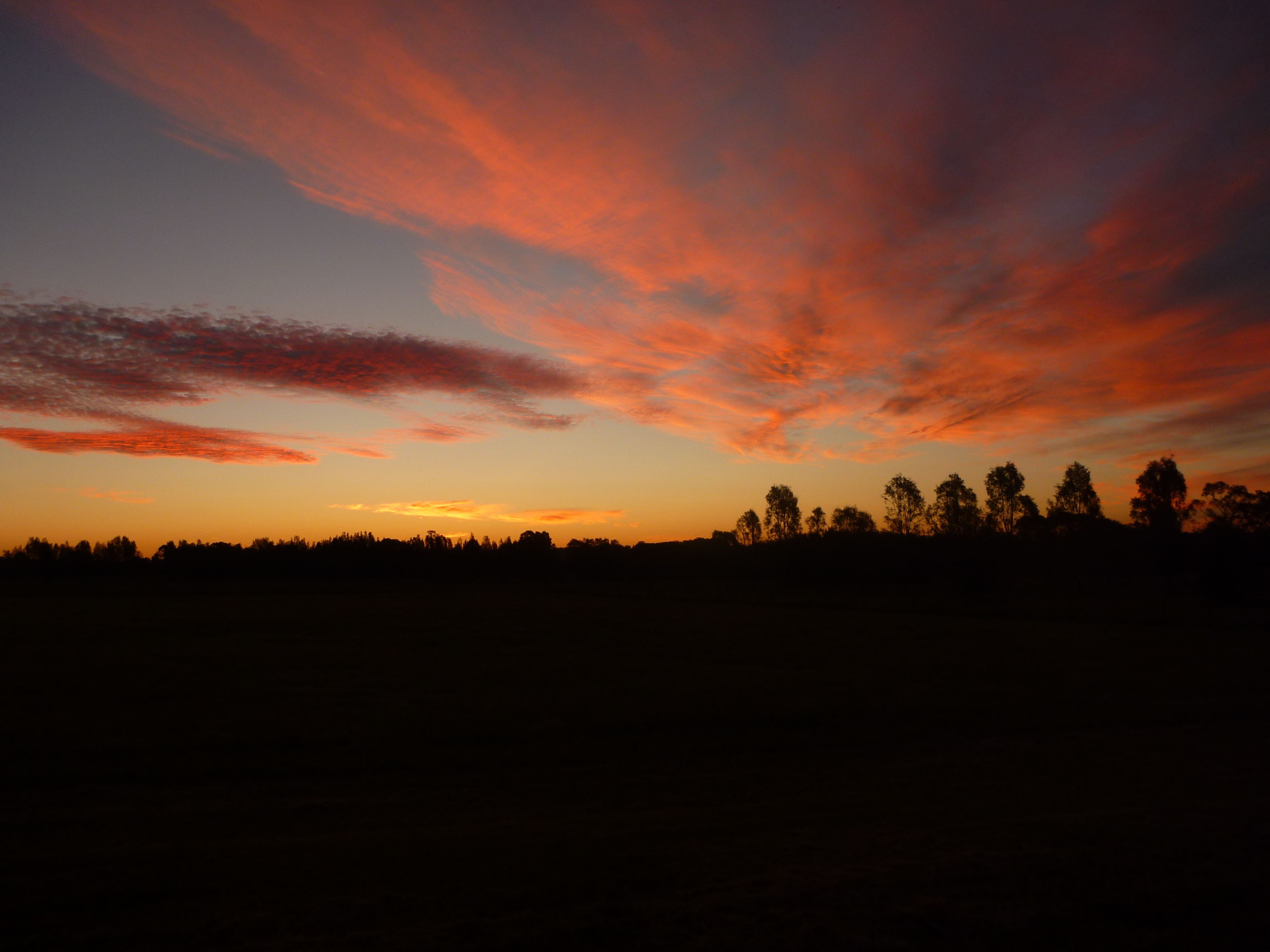 Un coucher de soleil sur un paysage plat, avec les silhouettes d’arbres.