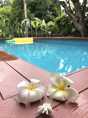 A poolside with a wooden deck, two white flowers, and a pool in the background. - A Taste of Europe in Chiang Mai (Chiang Mai)